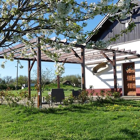 Bed and Breakfast Tisza White House Tiszaszolos Zewnętrze zdjęcie