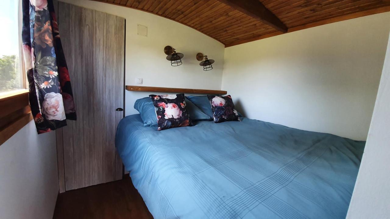Bed and Breakfast Tisza White House Tiszaszolos Zewnętrze zdjęcie