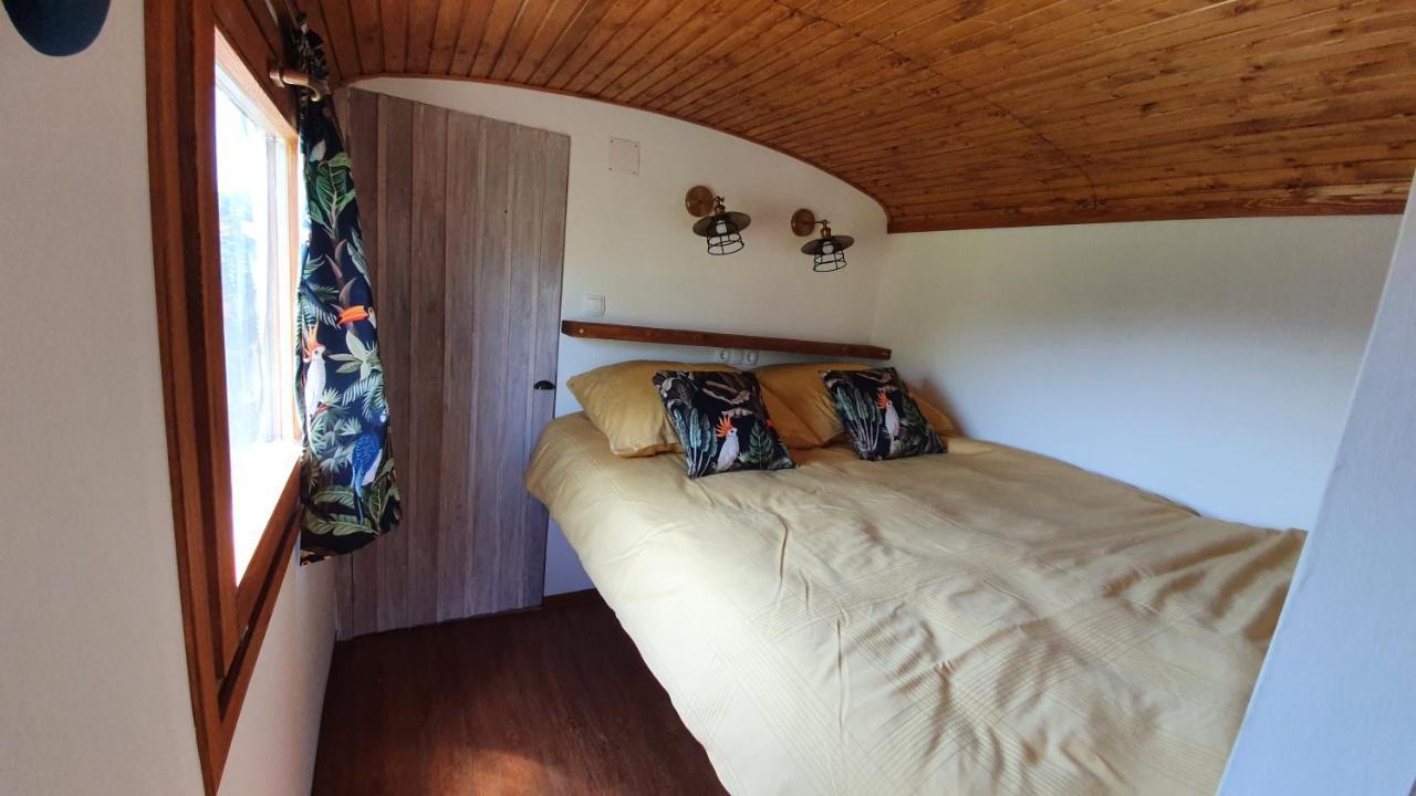 Bed and Breakfast Tisza White House Tiszaszolos Zewnętrze zdjęcie
