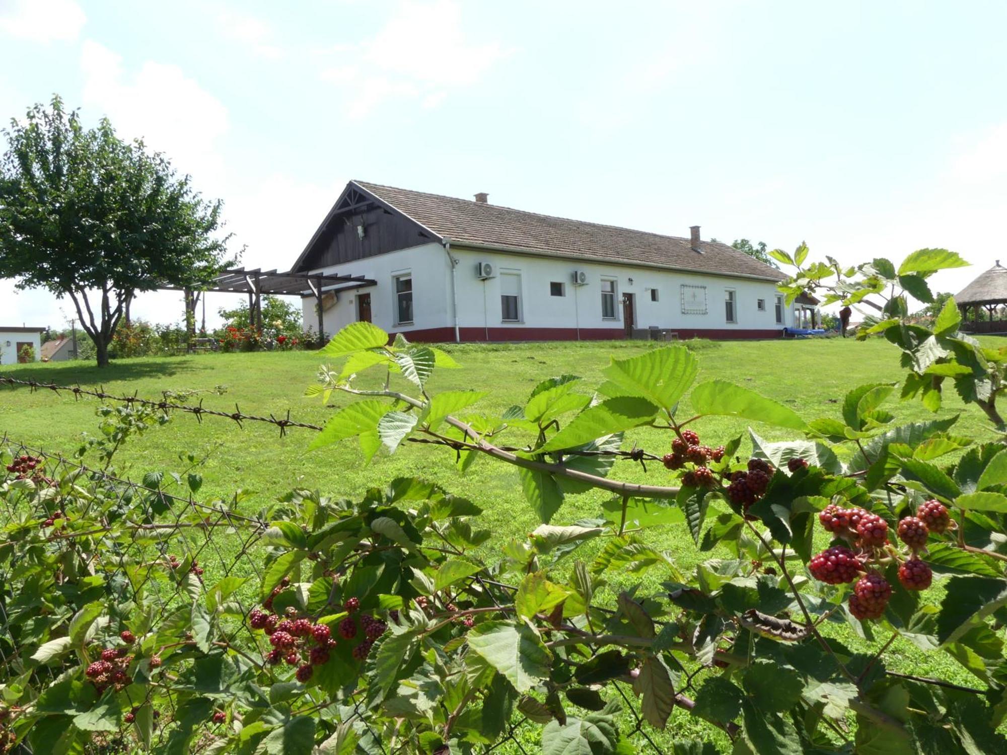 Bed and Breakfast Tisza White House Tiszaszolos Zewnętrze zdjęcie